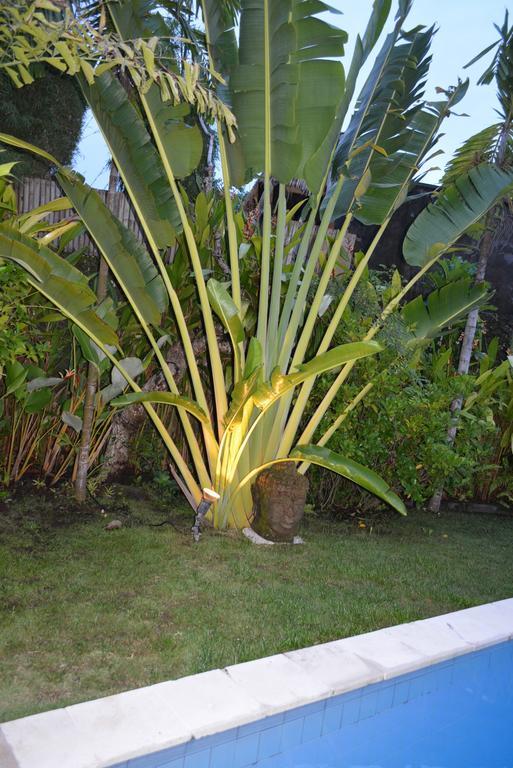 Villa Raquel Seminyak Cameră foto
